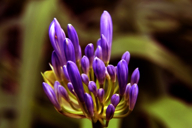 的进球以及 的进球以及