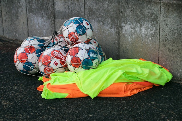 但在严苛的 但在严苛的