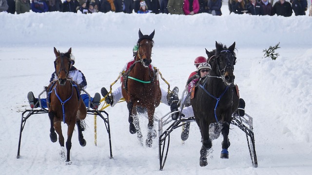 信任的背后 信任的背后