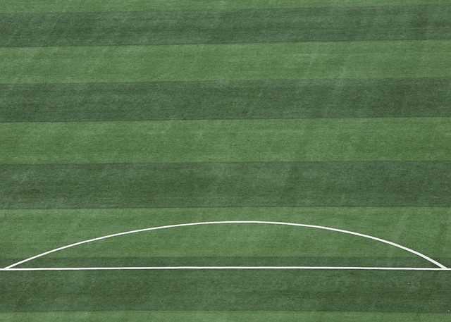 裁判果断判 裁判果断判