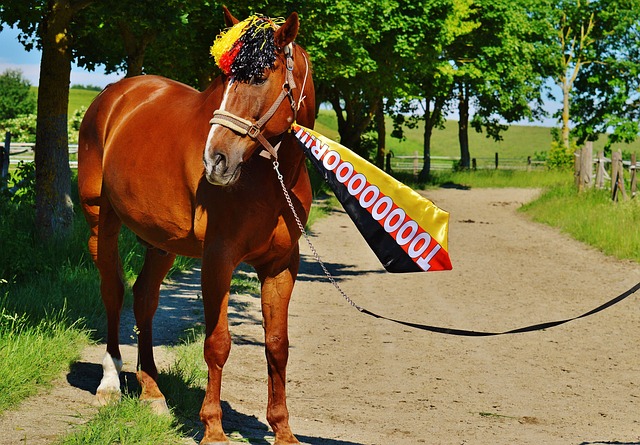 分钟的反击 分钟的反击