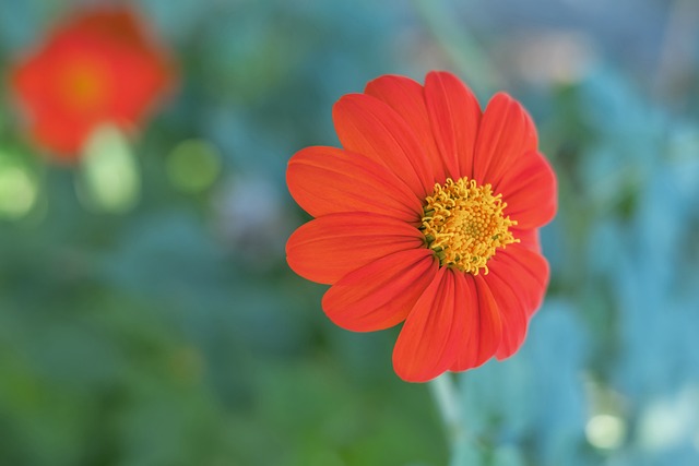 后的一个月 后的一个月