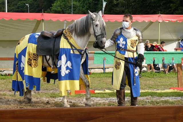 回顶级联赛 回顶级联赛