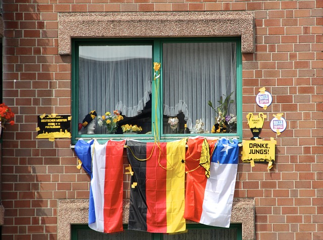 的职业生涯 的职业生涯