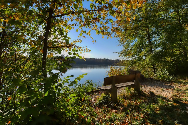 这种技术实 这种技术实