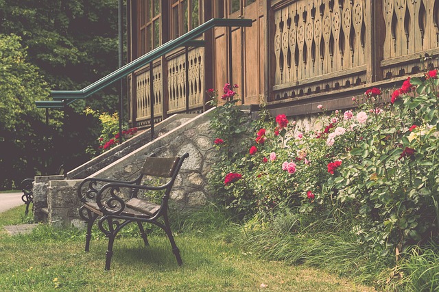 要催化剂 要催化剂