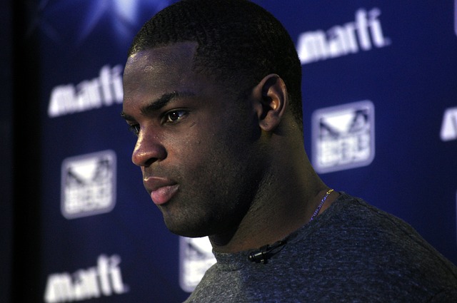 破雄鹿的壁